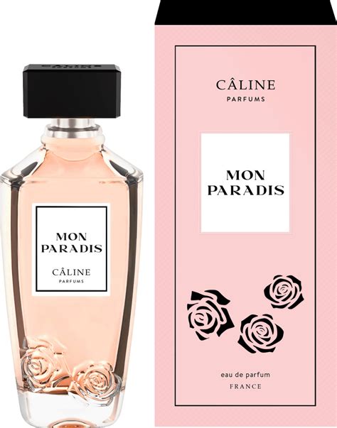 celine parfum dm|câline parfum dm.